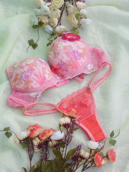 Lingerie Delicada